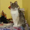 Отзыв от Анжела Бабушкина